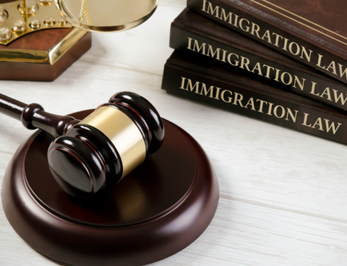 The Role of Immigration Lawyers in Ensuring Due Process