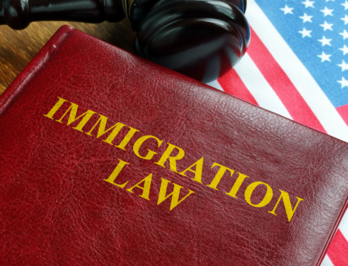 Navigating Immigration Services: FAQ’s